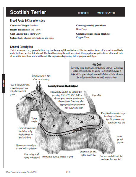 Notes From The Grooming Table SECOND Edition