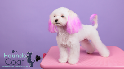 Creative Grooming with Pet Esthé Vivid Colour Pet Dye: A Professional Groomer's Guide