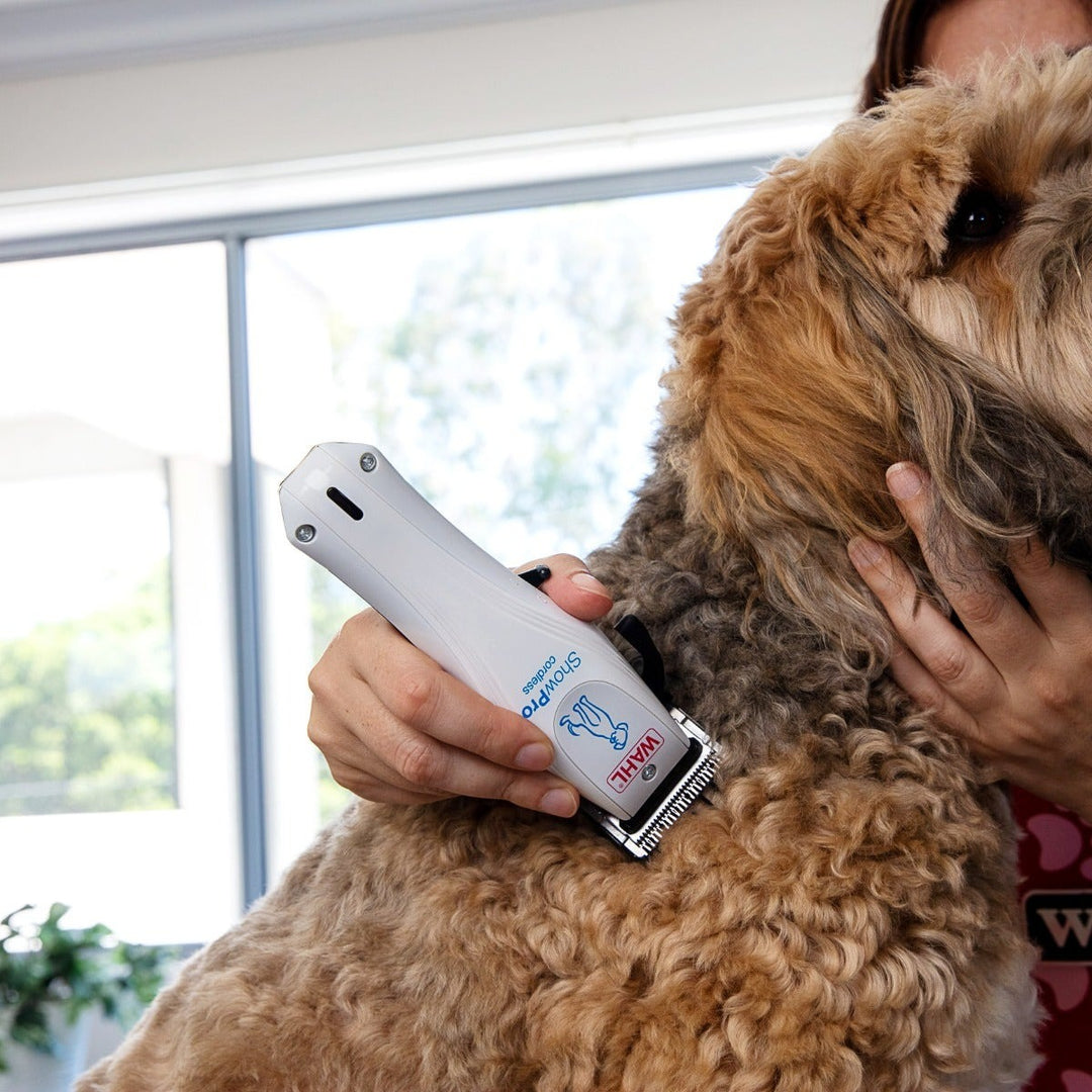 Wahl Show Pro Cordless Clipper – The Hounds Coat