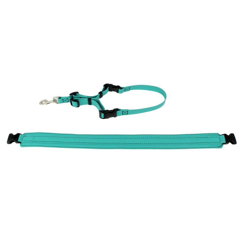 Biothane grooming belly band in Teal